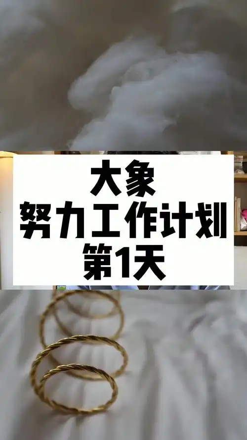 大象努力工作计划第1天