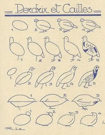 儿童简笔画卡通鸽子的画法图片步骤教程