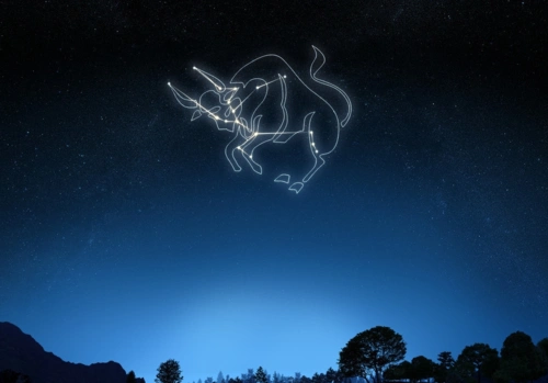 掌管着第十二宫宫位代表着她们喜欢银灰色守护神,是波塞顿双鱼座的