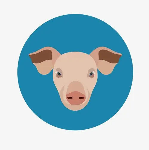 猪手绘创意矢量免抠图png