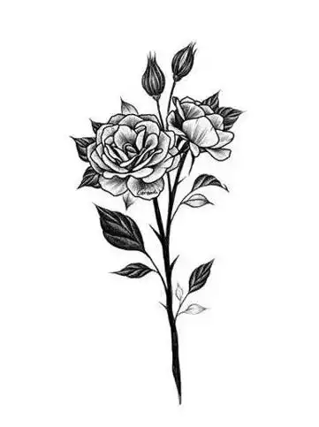 shcool纹身手稿,shcool纹身纹身手稿图案大全上一篇2019年8