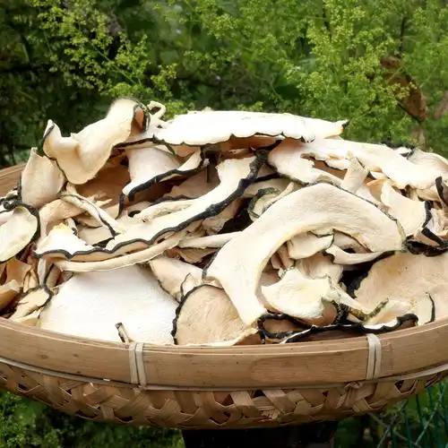 干南瓜片农家自制南瓜干条贵州江西湖北农村其它干货