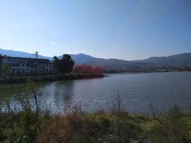 随心随意随缘随安