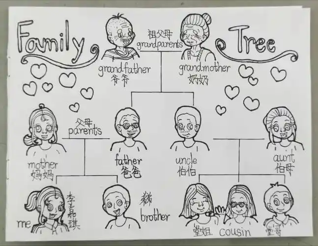 用画家庭树的方式来引导学生了解家庭成员之间的关系