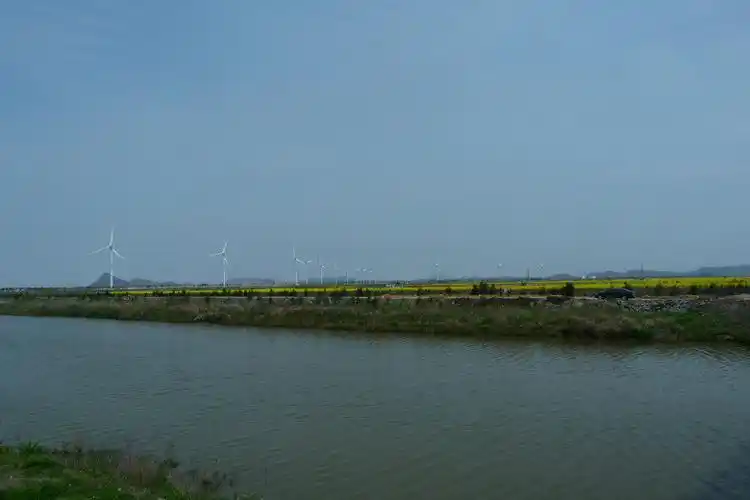 温岭东海塘感受春暖花开的季节-游记攻略-台州旅游-台州19楼