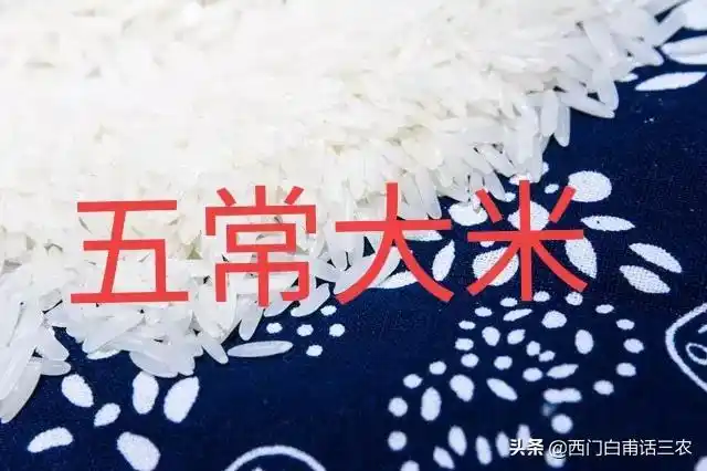 市场上的五常大米买10袋9袋是假的,你确定你买的是真五常米吗?