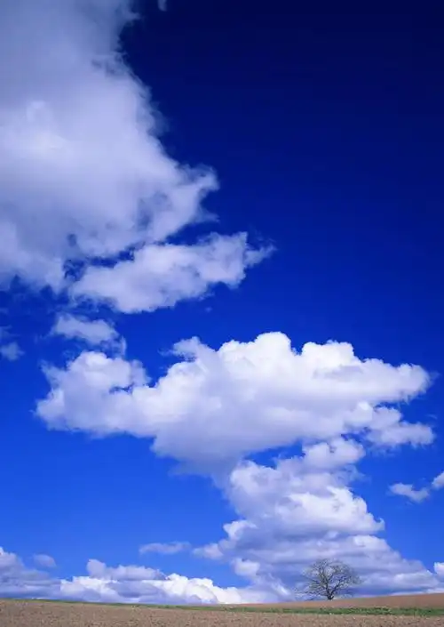 无人,竖图,室外,白天,正面,旅游,度假,草地,草坪,美景,植物,北海道