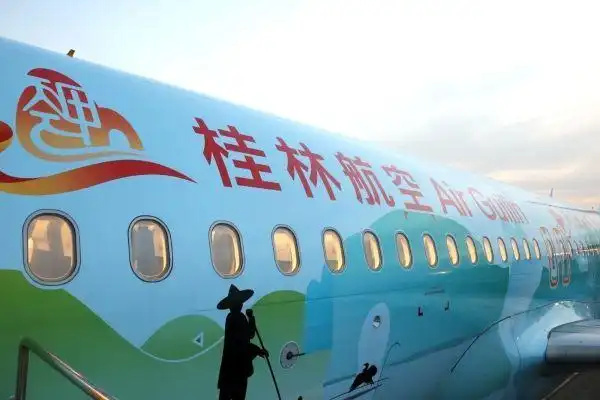 女乘客进入飞机驾驶舱机长被终身停飞桂林航空高层集体被罚