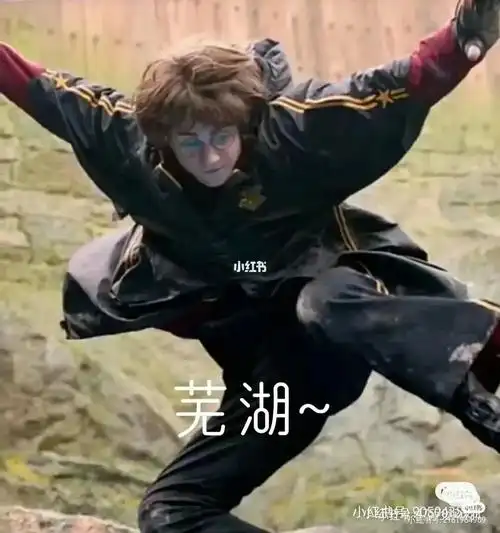 哈利波特  #表情包分享  #哈利波特搞笑表情包