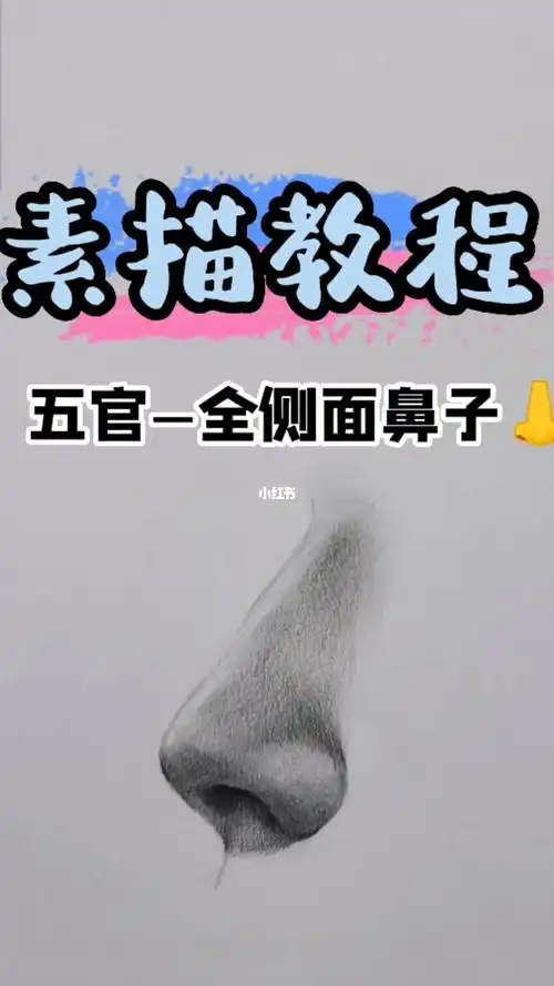 素描五官之全侧面鼻子画法示范