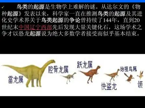 鸟类哺乳类的起源和进化ppt