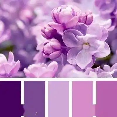 舒服的紫色系配色