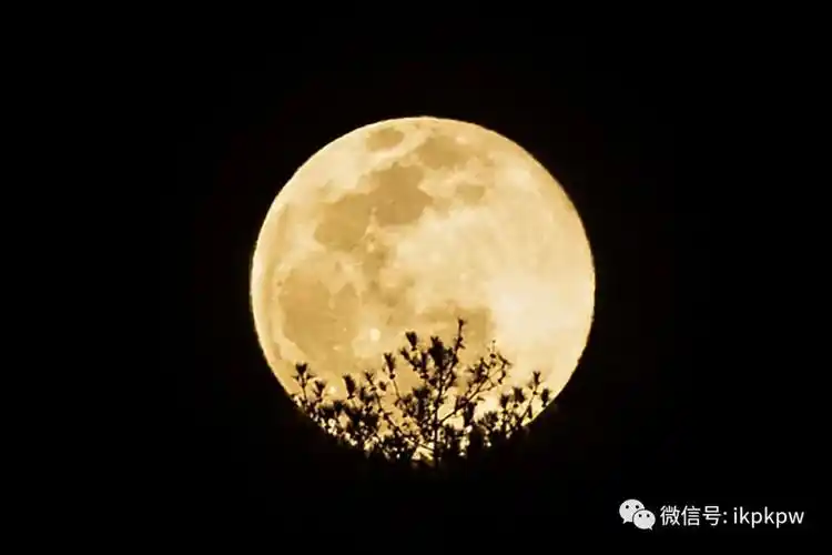 超级月亮又来啦最佳观赏时间是今晚