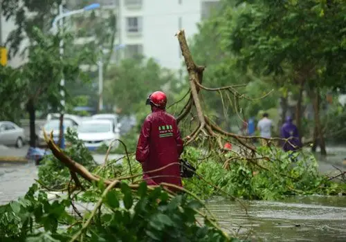 10月18日,海南琼海街头的树木被大风吹折.
