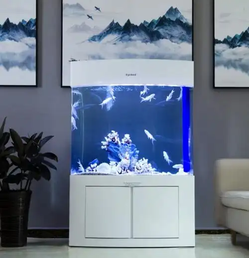 鱼缸- 热门商品专区