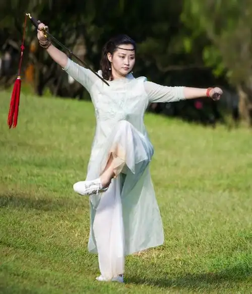 飒爽英姿——武术冠军风采