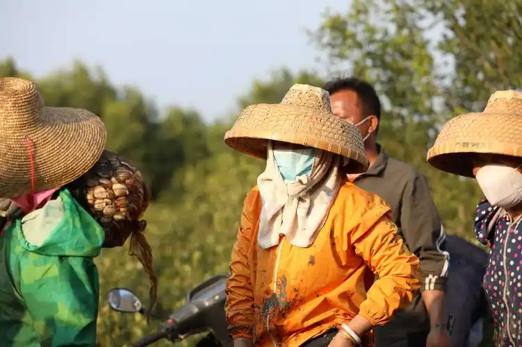 雷州人疯了,千古一奇!