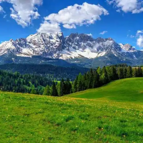 无边的美景微信头像难得一见美了眼醉了心