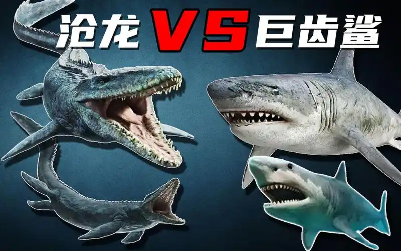 沧龙vs巨齿鲨,一口咬碎渔船的巨齿鲨,能否吊打沧龙?