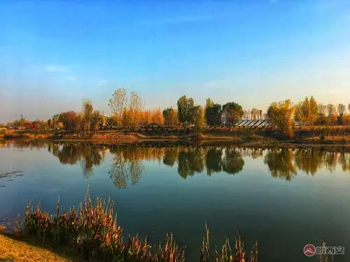 渭河南岸风景带(上林大桥附近)|西安地产|悦西安论坛|西安城市形象与
