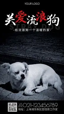 简约风摄影图关爱流浪狗公益海报