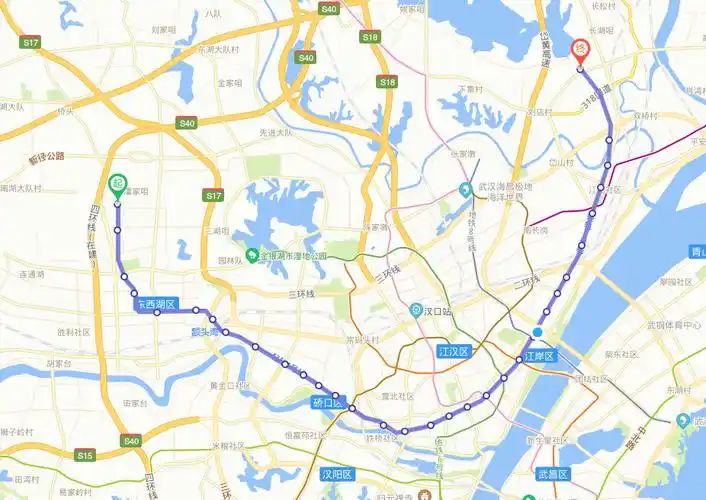 目前运营线路西起东西湖区径河站,东至黄陂区汉口北站,贯穿东西湖区