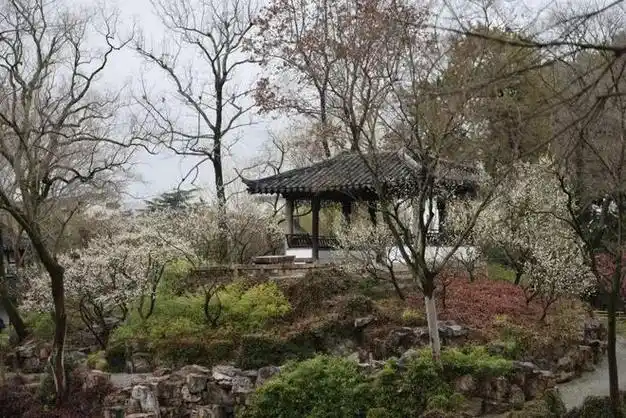 雪香云蔚亭和缀云峰西侧迎春寻梅也是日常生活的重要点缀梅既是古代