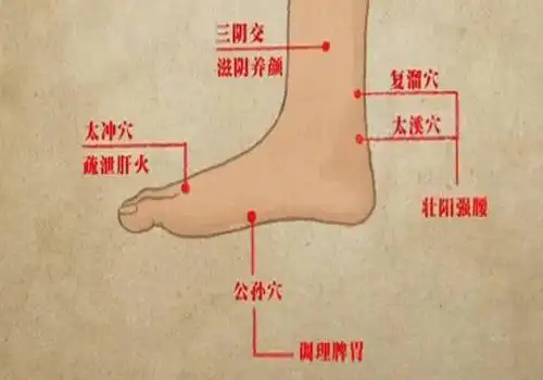 快速催尿方法按哪最快催尿方法