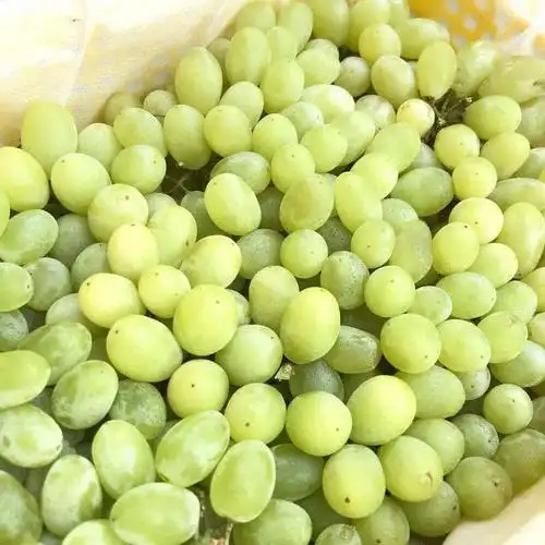 多款水果五折起,节日精装礼盒上线!