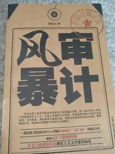 审计风暴9787565300561