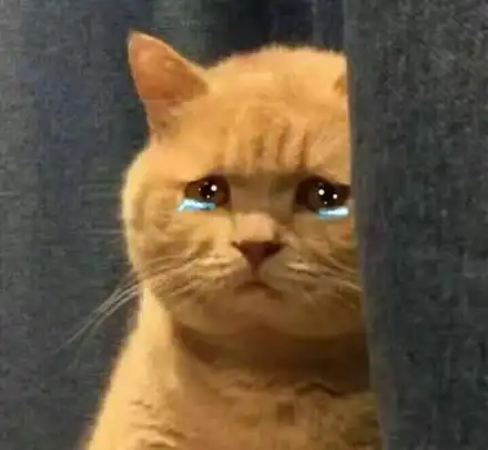 (躲在角落哭泣) - 一组萌萌的猫咪表情包,一起吸猫_猫咪_萌萌哒表情