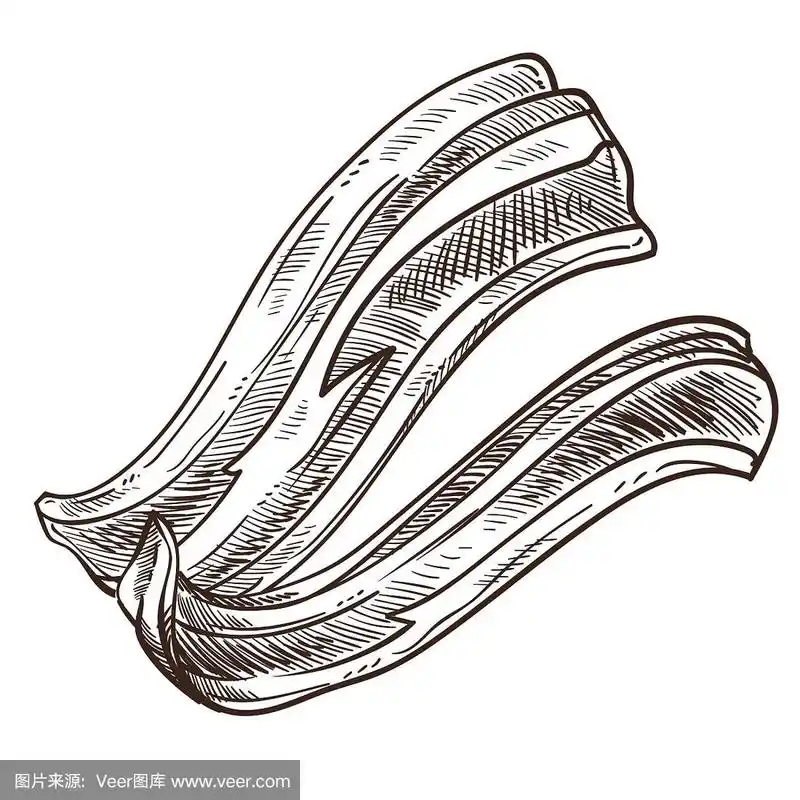 培根片单色素描轮廓孤立
