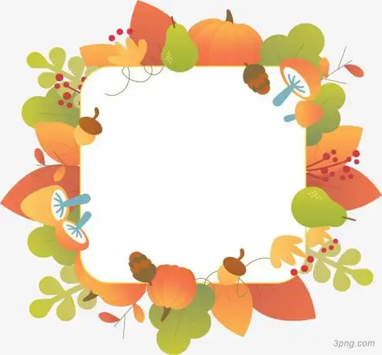 秋天成熟果实边框png素材透明免抠图片-节日元素