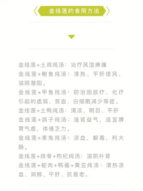 金线莲的功效以及食用方法