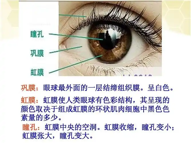 保护眼睛,守护成长