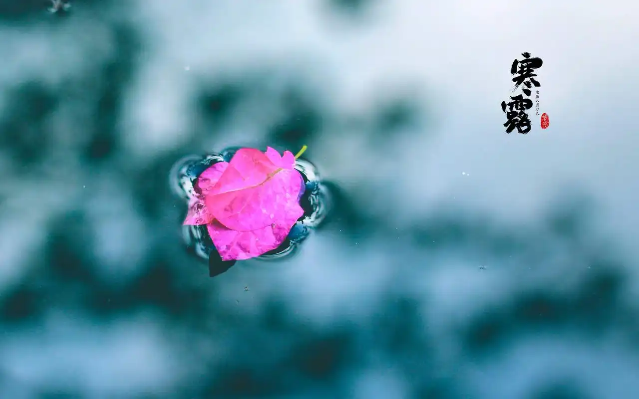 中国传统二十四节气之寒露