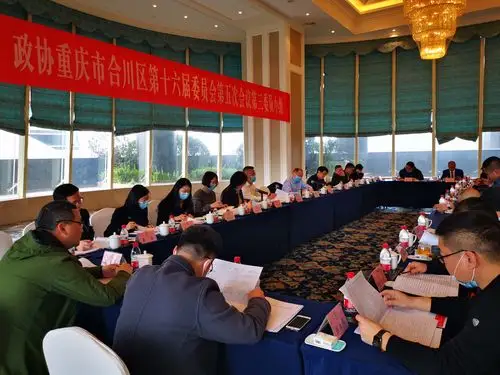 区政协十六届五次会议委员分组讨论侧记(下)