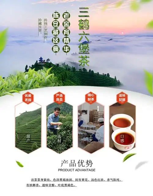 黑茶 六堡茶 中国供销合作社旗下 广西梧州茶厂 "窖藏" 六年陈 六堡茶
