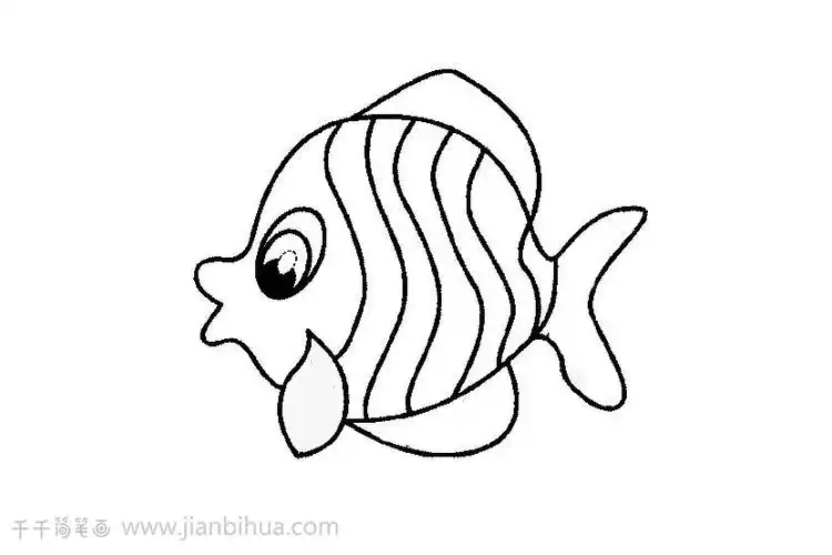 热带鱼简笔画儿童学画