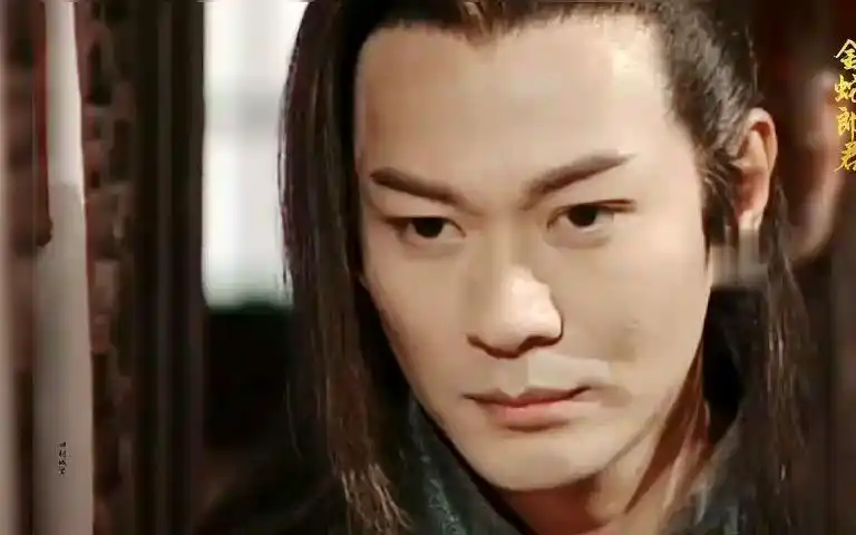 碧血剑,江华的金蛇郎君,又是一个把男二演成男主的人物