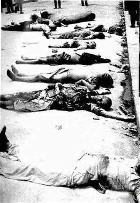 尸横遍野图片女兵战死尸横遍野图片2022已更新今日图集