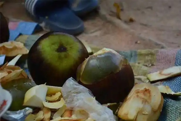 糖棕果可以吃吗