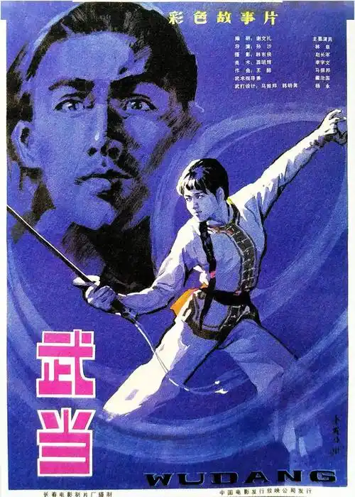 武打不输《少林寺》,演员都有真功夫_武当_司马剑_电影