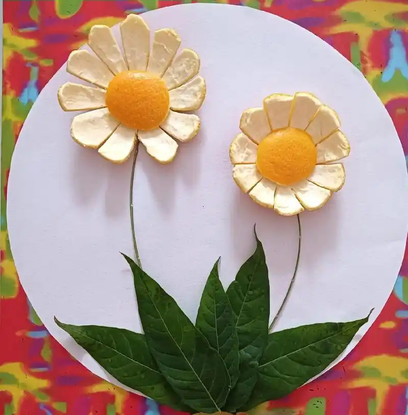 橙子皮制作的鲜花!#贴画#树叶贴画#幼儿手工#亲子手工#创意 - 抖音