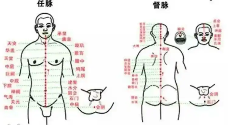 第四阶段:玄关,松果体,灵台(高频关窍) 第五阶段:任督二脉(大小周天)