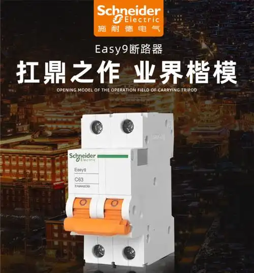 施耐德空气开关1p n空开断路器漏保e9家用总开2p63a不带漏电保护