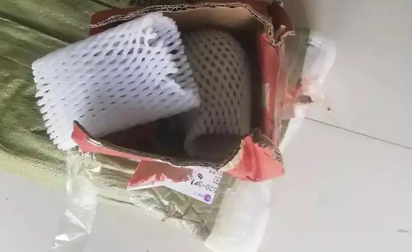张童拆开破损的包裹后,发现里面有一只空的泡沫网袋.受访者供图