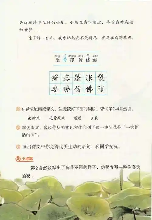 部编版小学三年级语文下册 《荷花》