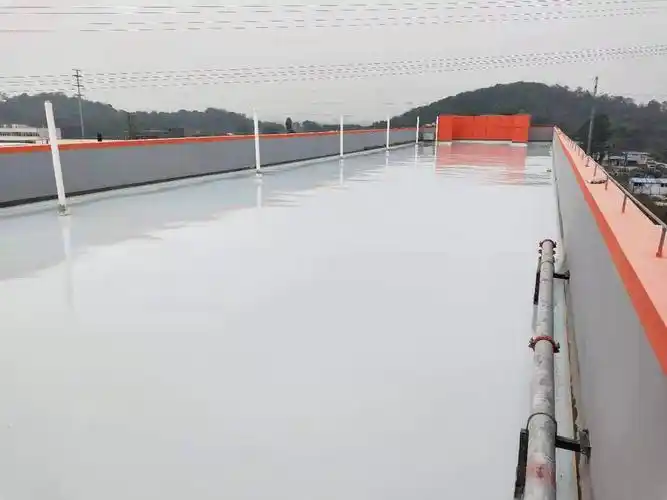 湘西土家族苗族自治州长沙县某小区屋顶做的地坪漆