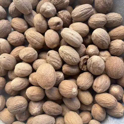 蒙藏药材 肉豆蔻 产地直发 量大从优